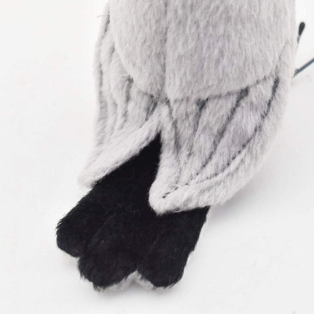 BH7248 HANSA Java Sparrow 13