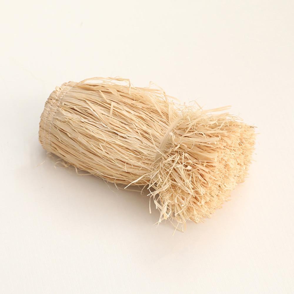 Durable Wedding Garland DIY Homestay Ornament Jute Fringe Trim Straw Tassels Lafite Grass Garland Background Wall Decoration