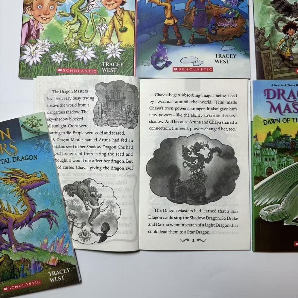 27 Books Dragon Masters English Children's Bridge Chapter Book Extracurricular Reading Material