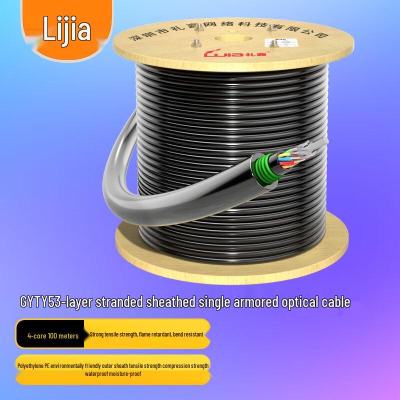 LIJIA GYTY53 Telecom Grade Armored Fiber Optic Cable 100M