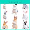 Adorable Plush Brown And White Bunny Toy For Cuddling And Snuggling, 24cm