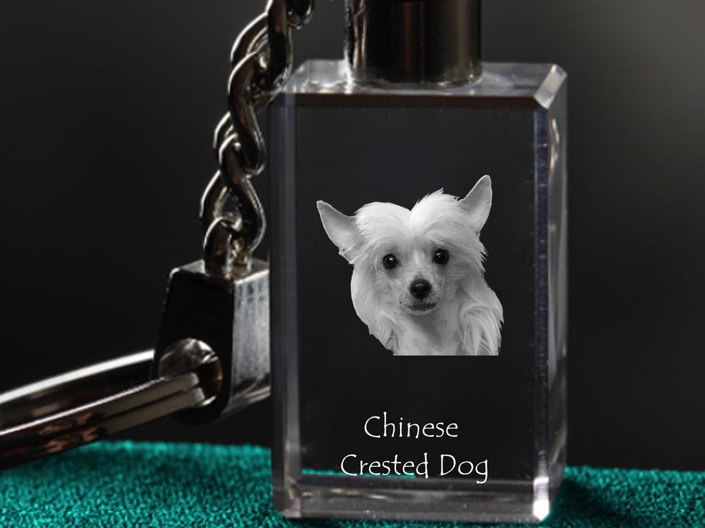 Chinesischer Schopfhund, Puff - Kristall-Schlüsselring mit Hundefoto, beleuchteter Schlüsselanhänger, einzigartiges Geschenk der Marke Art-Dog