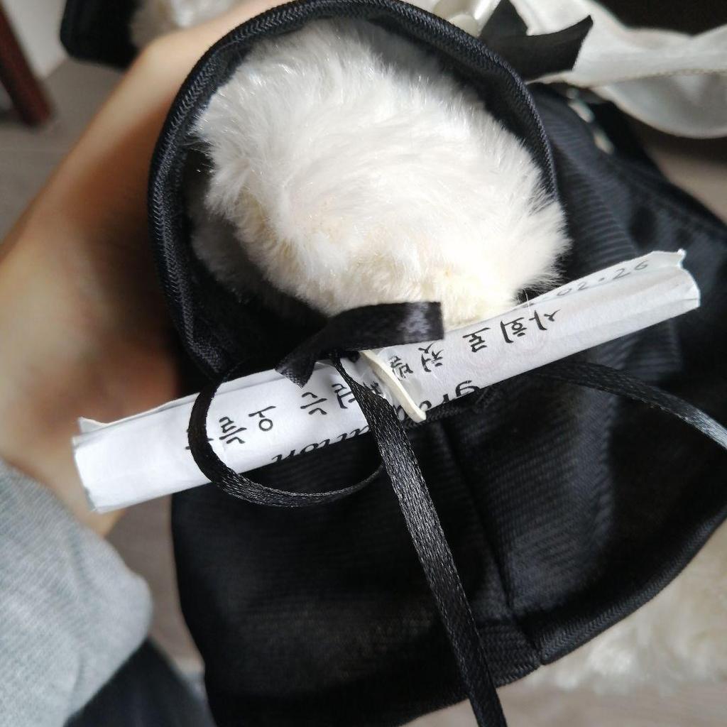 [USED] Extremely Rare Seoul National University Graduation Commemorative Teddy Bear