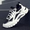 Mode Herrsneaker 2024 Vår Ny Mesh Andningsbara Promenadskor för Män Vild Plattform Mode Mångsidig Löparsko Tenis Masculino