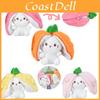 Cute Strawberry Bunny Plush Toy Keychain Fruit Transformation Doll Bag Pendant