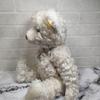 [USED] Steiff Teddy Bear Sugar 39cm