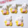 10 Pcs New Cartoon Animal Elephant, Rabbits, Kittens Series Resin Scrapbook Diy Jewelry Party Gift Hairpin Accessories A87