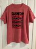 THE JESUS AND MARY CHAIN Psychocandy Korallenfarbenes Seiden-T-Shirt S bis 5XL NZ743