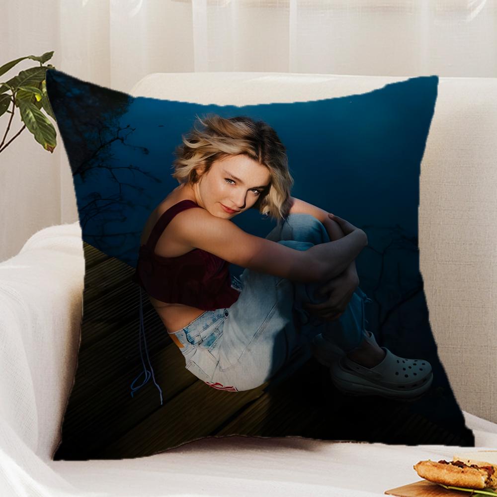

P-Pommelien Thijs Gedoe Cushion Cover Premium Comfort Reversible Pillow Cover - Dual - Use Design for Home & Car 20x20Inch