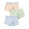 Mao Ren Boys' Cotton Boxer Briefs