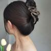 Transparent Hair Clips Acrylic Hair Pins Korean Style Hair Claws  Wash Face