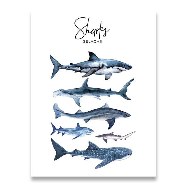 Nautical Sea Nursery Painting Whale Shark Canvas Poster Animal Art Print Education Wall Picture Nordic Kid Baby Bedroom Decor No Frame