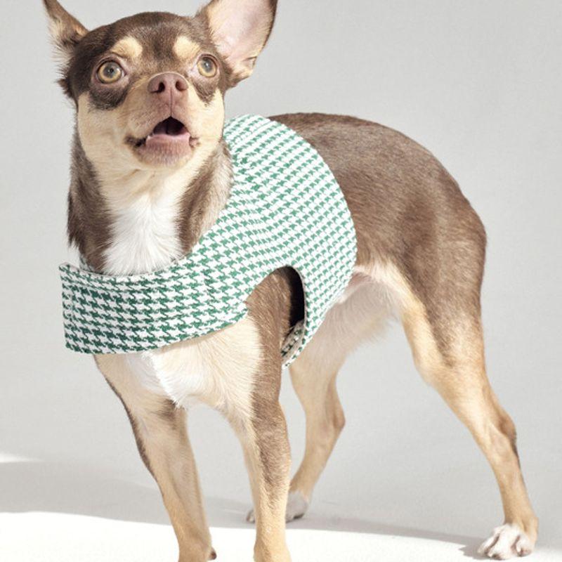 CROOKTHECHIHUAHUA Hound Pattern Harness - GREEN