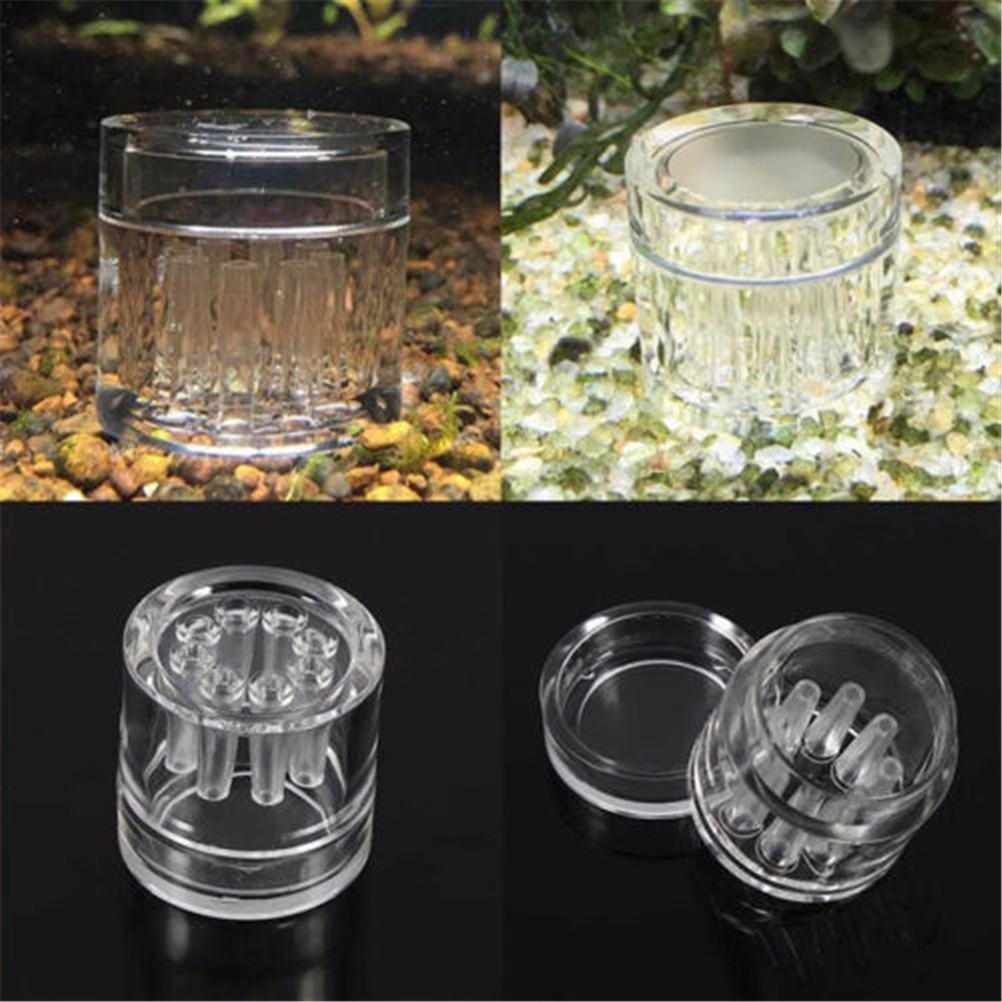 Snail Trap Transparent Leech Vivarium Planarian Pest Catch Pen Red Bee Shrimp Worm Bait Feeding Box Aquarium Cleaner Tool