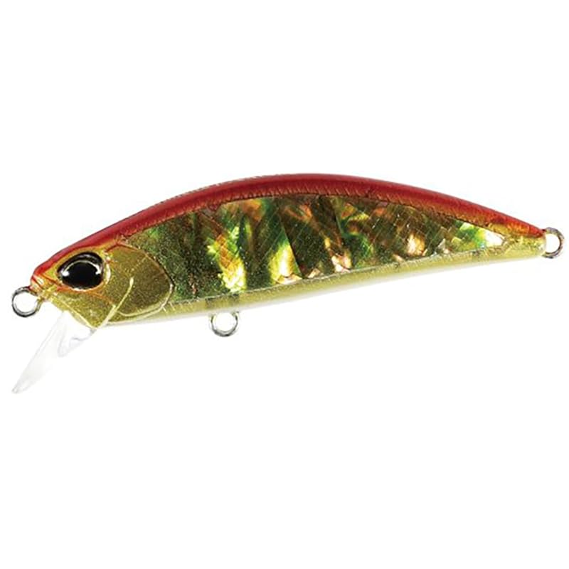 

Duo spear head Ryuki 50S AWABI CCC4115 Akagane abalone