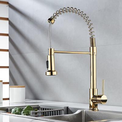 Professional Spring Kitchen Faucet