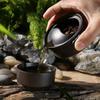 Ceramics Tea Set Include 1 Pot 1 Cup Travel Teapot  Elegant Gaiwan Beautiful Easy Teapot Kettle Kung Fu Teaset