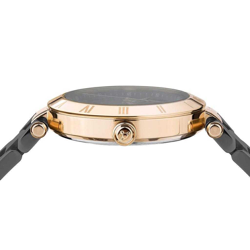 Vivienne Westwood Montague ladies watch VV206RSGN [item]