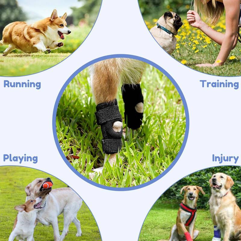 Pet Leg Joint Knee Protector ACL Ligament Tear Protection Rehabilitation Aid Cat Joint Dislocation Support