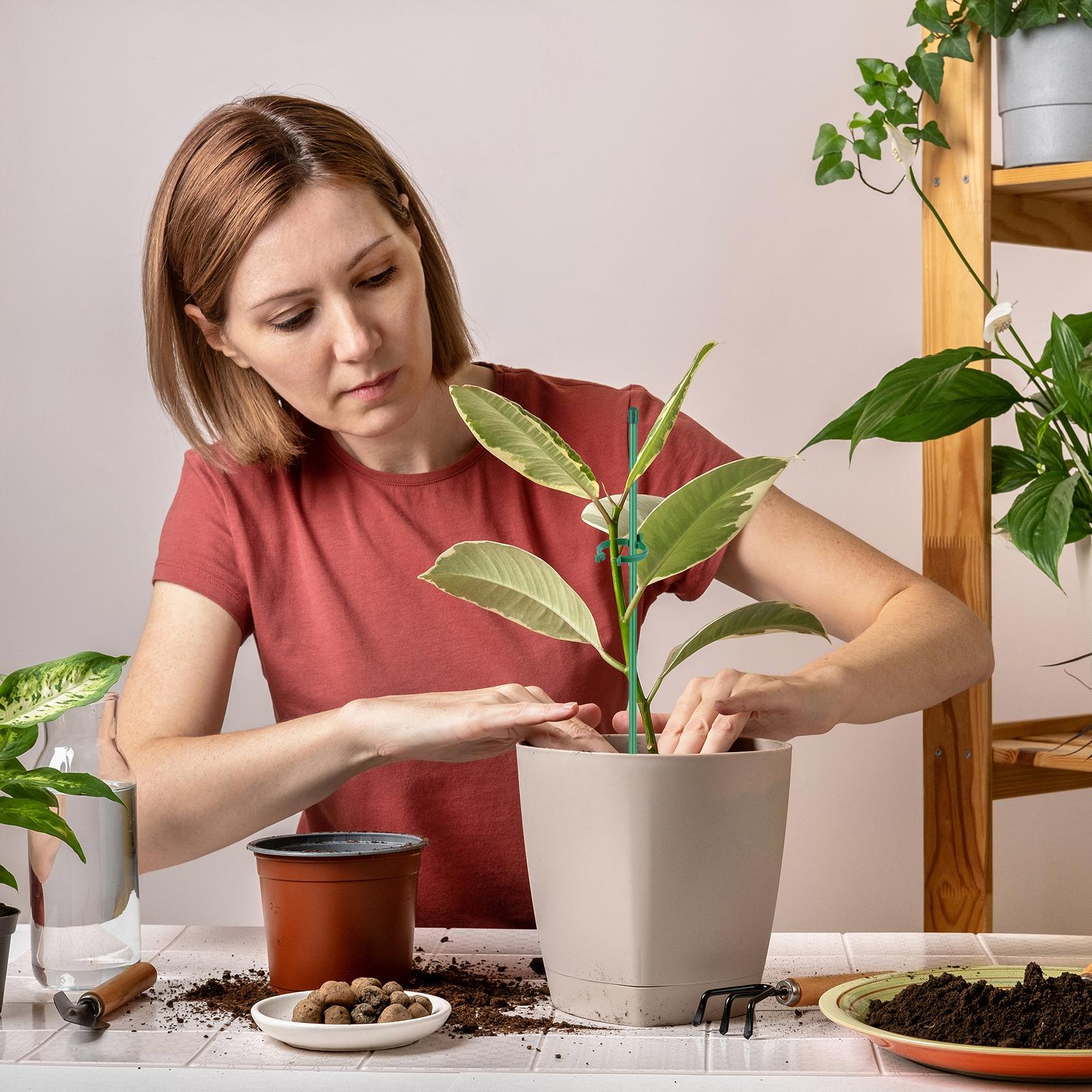 30Pcs Adjustable Plant Support Aquatic Plant Support with Clips & Connectors Climbing Plants Stands for Orchids Peonies Plants China Mainland