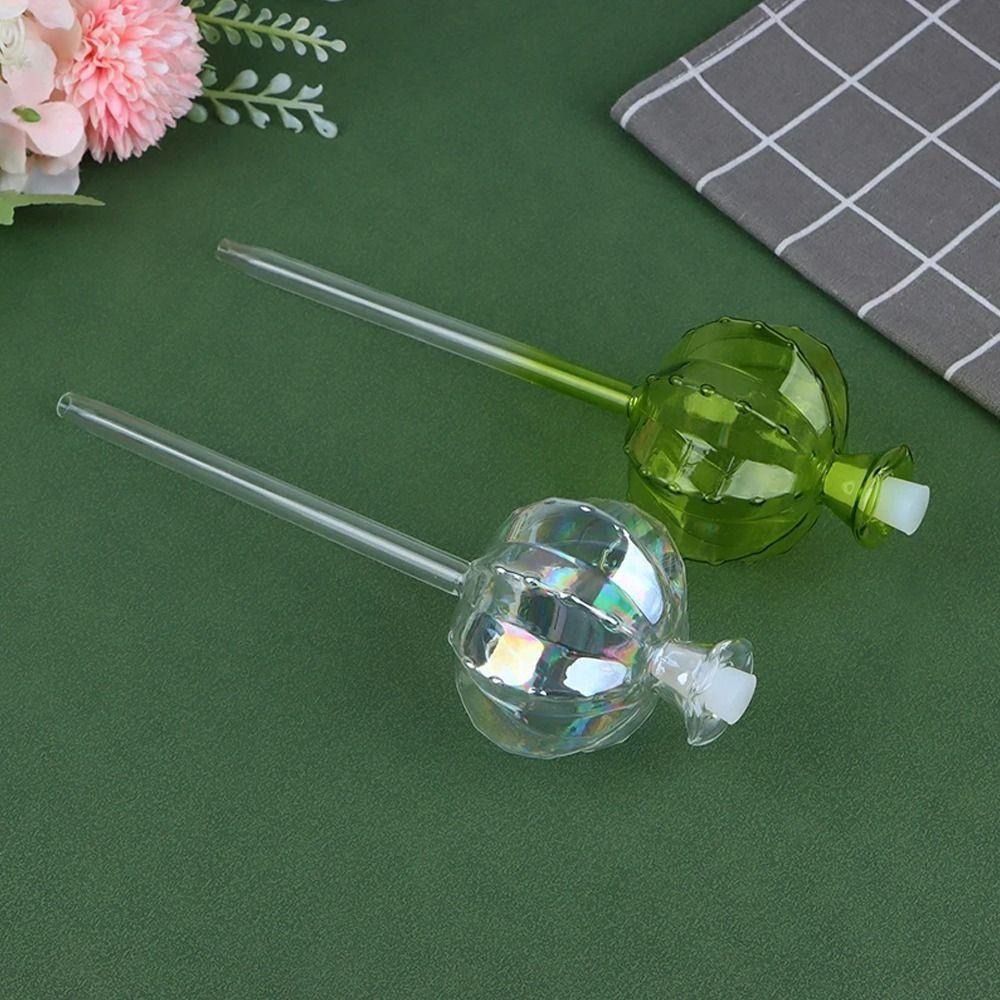 Automatic Cactus Self Watering Planter Cactus Glass Automatic Plant Watering Bulbs Cute Plant Water Feeder Glass Bulbs Indoor