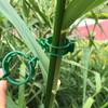 Tomato Vine Support Clips 80 Pieces Plant Climbing Fixing Clips for Trellis Greenhouse Gardening