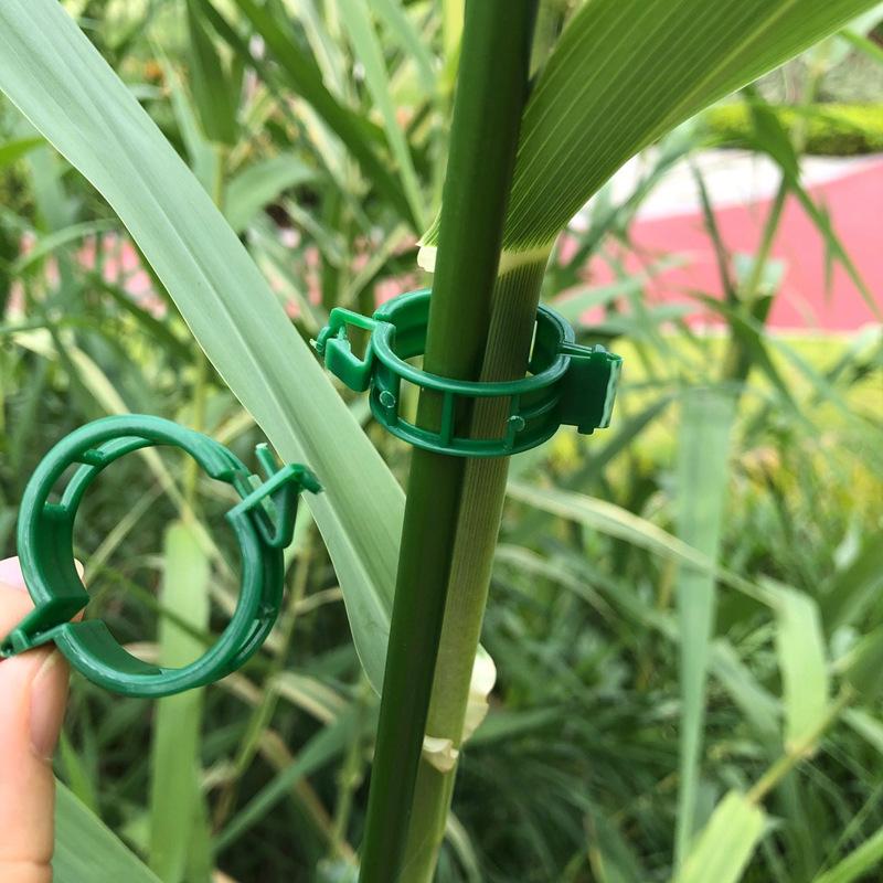 Tomato Vine Support Clips 80 Pieces Plant Climbing Fixing Clips for Trellis Greenhouse Gardening