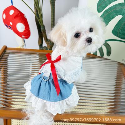 Giyim ve ayakkabı – Köpek elbiseleri