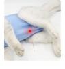 Pet clothing postoperative sterilization clothing weaning anti licking isolation of bacteria breathable and comfortable