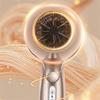 2000W High Power Hair Dryer Blue Light Care Negative Ion Quick Drying Hair Styling Tool,EU Plug