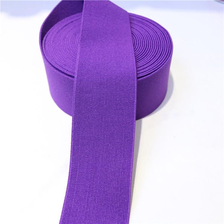 Polyester Imitation Nylon Elastic Webbing with Spot Color Processing - Clothing Accessories Rubber Band