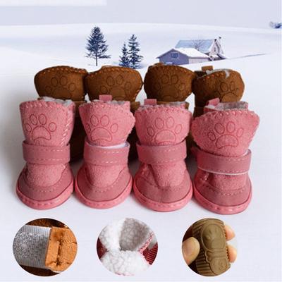 Bekleidung & Schuhe – Hundeschuhe