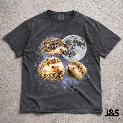 Üst giysisi – T-shirtler
