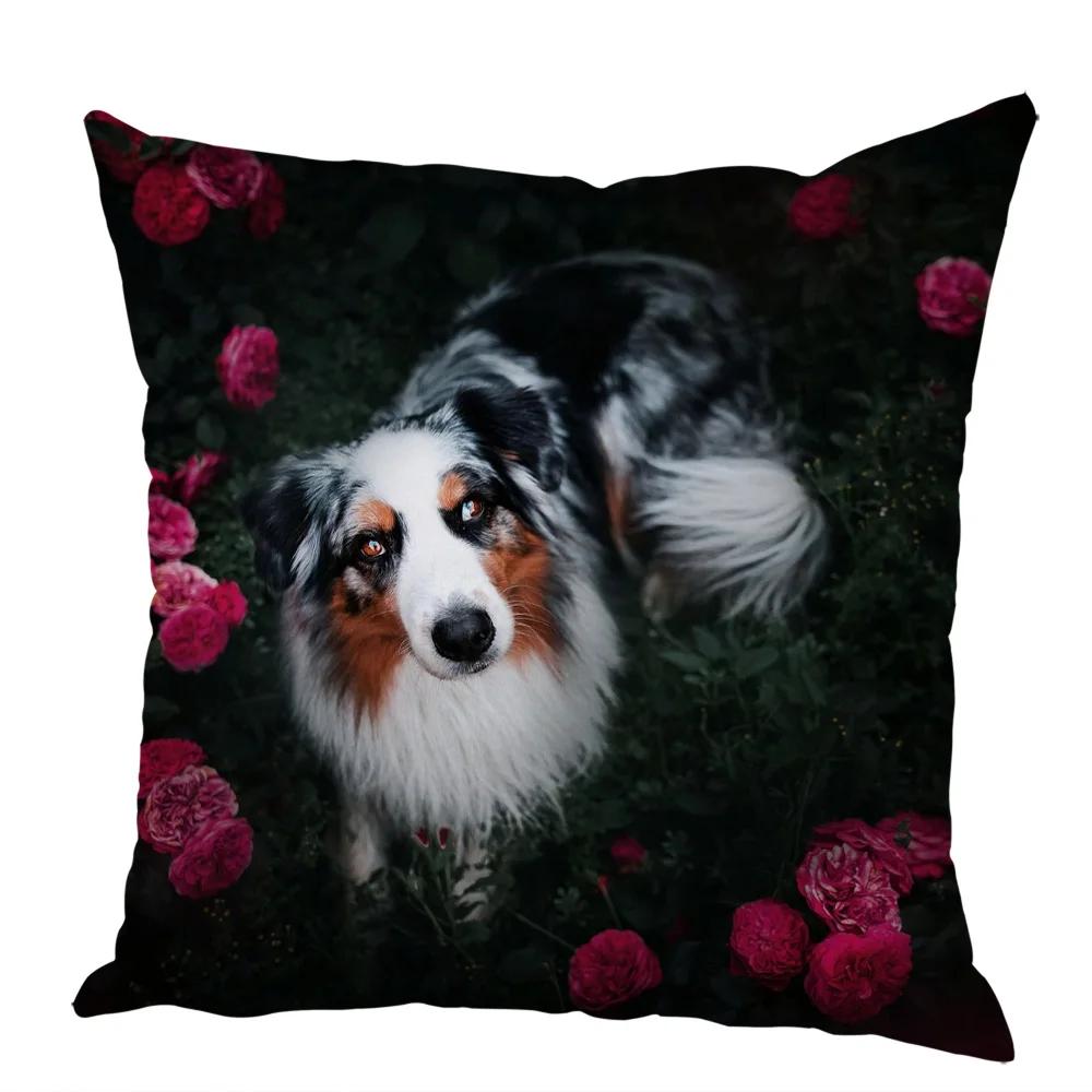 Cute Australian Shepherd Dog Pillow Case Peach Skin Decor Pet Animal Cushion Cover Thorw Pillowcase for Sofa Home Car 45x45cm