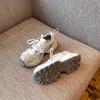 [Armano] Color-polished Retro Dad Shoes, Women's Tide 2025 Spring and Summer New Mesh Breathable Platform Sneakers