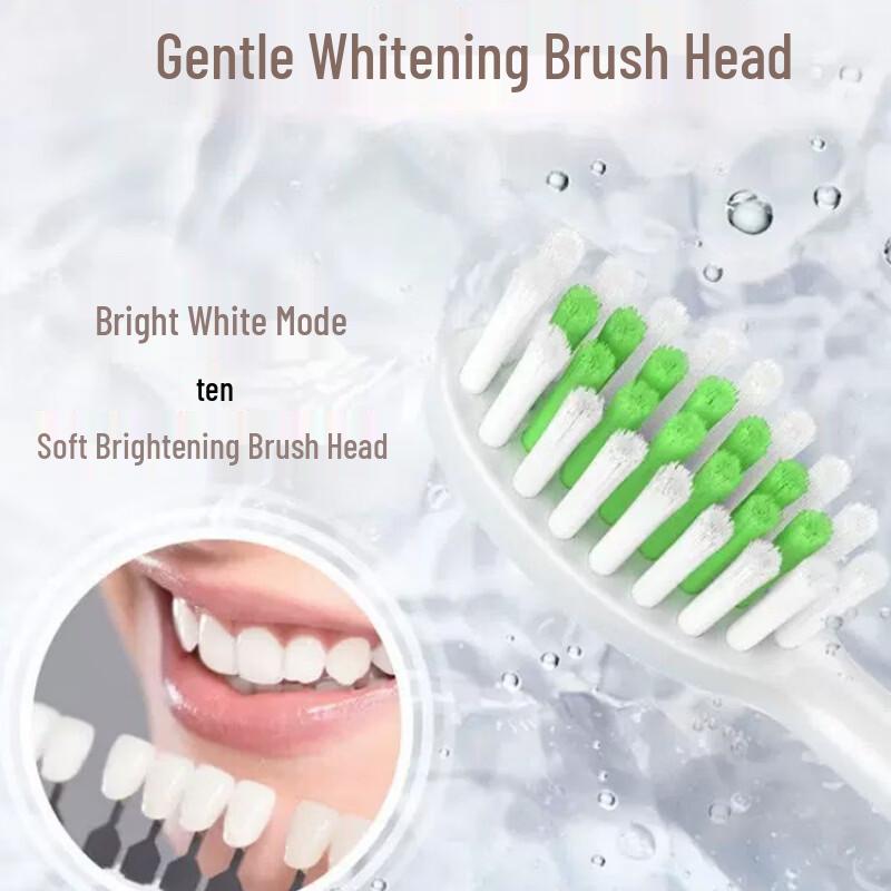 Philips Sonicare Flagship HX2461 Electric Toothbrush CN plug (adapter included)