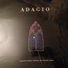 LP-Schallplatte VERSCHIEDENE Adagio 1648500 Celestial Harmo 1984 Deutschland Klassik Gebraucht
