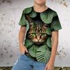 3D Print Summer Spring Sports Fashion Streetwear Kids  Crew Neck Casual Daily Outdoor Regular Top