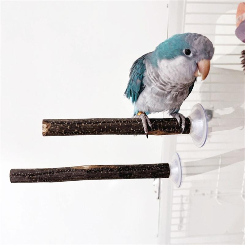 3lots Suction Cup Bird Toy Perches Stand Climbing Playing Parrots Perches Toy for Parakeets and Medium Birds