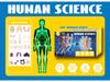 3D Human Skeleton Model Kit for Children's Educational Anatomy and Medical Teaching