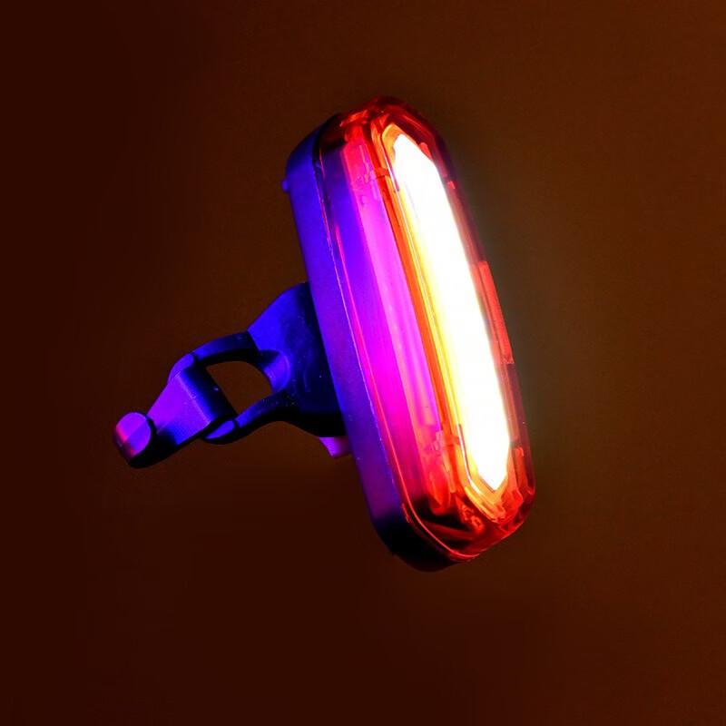 Lishi LED Bicycle Tail Light