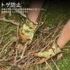 Garten Lammlederhandschuhe für und Andere Verstärkter Touchscreen Vibration und Schiene GA7471 Leicht [Vgo...] Handschuhe, Gartenarbeit, Unkrautjäten, Arbeit,