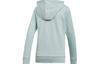 adidas Originals Trefoil Sweatshirt Women's Steam Green ED7503
