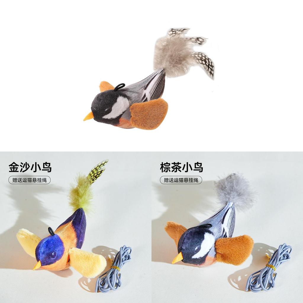 Giocattolo per Gatti Sonoro Uccellino Colorato Gioco Interattivo per Animali Domestici e Regalo