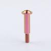 Tmj Titanium Alloy Bolts Motorcycle Brake Lever Screw for Rod Screws Straight Push Hydraulic Pump Screw and 1Nut