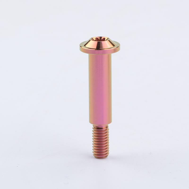 Tmj Titanium Alloy Bolts Motorcycle Brake Lever Screw for Rod Screws Straight Push Hydraulic Pump Screw and 1Nut