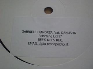

12inch Record GABRIELE D ANDREA, DANUSHA - Morning Light TEST062 Dipi 2001 Italy Dance & Electronica Used