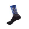 Oil painting medium tube socks European and American adult socks Women's trend stockings Men's autumn and winter cotton socks