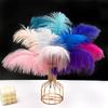 Imported Colored Ostrich Feather Bouquet for DIY Floral Arrangements