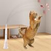 Teaser Feather Toys Cat Electric Relieves Boredom Interactive Stick Automatic Cat Tease Stick Pet Toys for Cats Pet Supplies